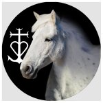 Cheval camarguais - 5cm - sticker / autocollant