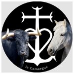 Cheval et taureau camarguais - 10cm - sticker / autocollant