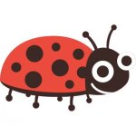Coccinelle - autocollant sticker adh�sif - taille : 8 cm