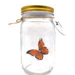 Collection de papillons de simulation dans un bocal, pot a papillons qui se dplace, lumire led romantique ...