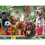 Diy 5d diamond painting par num�ros kits, chiens jouant avec la balle, fleurs, pleine perceuse strass ...