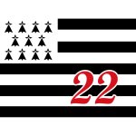 Drapeau breton 22 - 29x21cm - sticker / autocollant