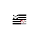 Drapeau breton 29 - 10x7cm - sticker / autocollant