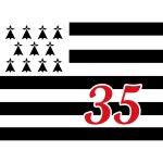 Drapeau breton 35 - 15x11cm - sticker / autocollant