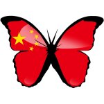 Effet papillon chinois - 15x10. 5cm - sticker / autocollant