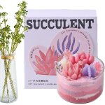 Ensemble de fabrication de bougies, kit de fabrication de bougies - kit de fournitures de fabrication ...