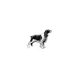 Epagneul breton animal chien autocollant adh�sif sticker logo 32 - taille : 40 cm