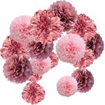 Ershi - lot de 15 pompons dcoratifs multicolores en papier de soie, pour mariage, anniversaire, fte ...