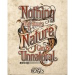 Fantastic beasts - les animaux fantastiques - unnatural - 40x50cm - affiche / poster envoi en tube