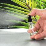 Flacons vaporisateurs de parfum vides de 3 ml - paquet de 50, contenants de format voyage