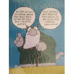 Geluck - le chat - au lieu de vous en faire parce que vous avez un an de plus. . .