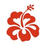 Hibiscus fleur autocollant voiture 11, 5 x 10, 5 cm - taille : 11, 5 x 10, 5 cm - couleur : rose