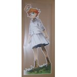 Incroyable lot de vitrophanies manga the promised neverland rare !!!