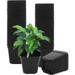 Kalanka - lot de 50 pots de fleurs en plastique noir 7 cm Kalanka - lot de 50 pots de fleurs en plastique noir 7 cm
