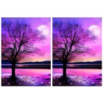 Kit de peinture diamant 5d par num�ro, broderie strass clip, perceuse compl�te ronde, diy, 2 pi�ces