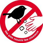 Ne pas nourrir les oiseaux - 20cm - sticker / autocollant