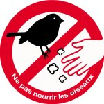 Ne pas nourrir les oiseaux - 5cm - sticker / autocollant
