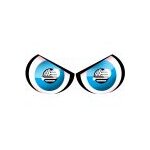 Yeux drapeau breton (29x12cm) - sticker / autocollant
