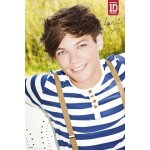 One direction - 1d - louis - affiche / poster envoi en tube