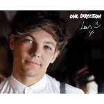 One direction - louis - landscape - affiche / poster envoi en tube