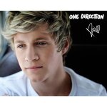 One direction - niall - landscape - affiche / poster envoi en tube