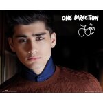 One direction - zayn - landscape - affiche / poster envoi en tube
