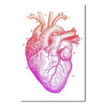 Peinture sur toile avec enseignement mdical, affiche d'anatomie d'orgue, images modulaires d'art mural ...