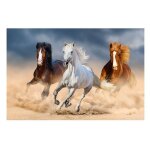 Peinture sur toile moderne avec cheval de course, affiche imprime d'animal, images murales d'art pour ...