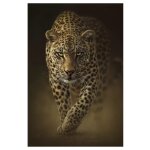 Peinture sur toile de tigres sauvages africains, affiches et imprims modernes, images artistiques murales ...