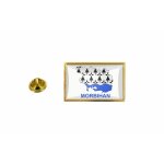 Pins pin badge pin's drapeau pays carte departement morbilhan