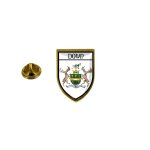 Pins pin badge pin's souvenir ville drapeau pays blason down