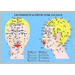 Planche plastifiée les points d'acupuncture faciaux (a4) Planche plastifiée les points d'acupuncture faciaux (a4)