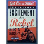Plaque harley davidson be a rebel exitement tole affiche usa