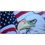 Plaque d immatriculation aigle drapeau usa americain tole