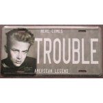 Plaque d immatriculation james dean trouble tole deco maison fan