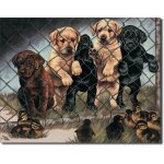 Plaque tole avec des bb chiens derriere un grillage pub