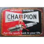 Plaque tole champion pin up et bougie 30x20cm tole pub garage diner loft Plaque tole champion pin up et bougie 30x20cm tole pub garage diner loft