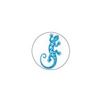 Salamandre - autocollants stickers caches enjoliveurs pour jante sticker auto - taille : autres a renseigner ... Salamandre - autocollants stickers caches enjoliveurs pour jante sticker auto - taille : autres a renseigner ...