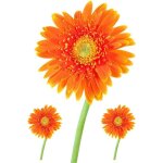 Set 3x autocollant sticker voiture moto fleur orange deco enfant