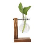 Un terrarium de plante de bureau de stations de propagation, jardinire en verre avec support, station ...