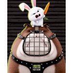 The secret life of pets - liberated - 40x50cm - affiche / poster envoi en tube