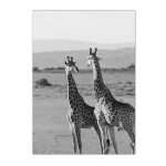Toile avec animaux africains imprims, lion, elphant, peinture noire et blanche, affiche murale nordique, ...
