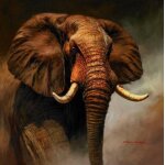 Toile d'art mural avec elphant africain, peinture a l'huile sur toile, affiche moderne sans cadre?40x40cm ...