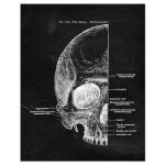 Toile murale avec squelette et anatomie du cur, affiches et imprims nordiques, images murales pour ...
