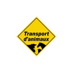 Transport d'animaux - 20x20cm - sticker / autocollant