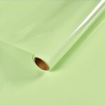 Vert clair brillant - 3 m x 60 cm - papier peint autocollant en vinyle noir brillant, imperméable, bricolage, ... Vert clair brillant - 3 m x 60 cm - papier peint autocollant en vinyle noir brillant, imperméable, bricolage, ...
