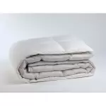 Couette lestra softyne 50% duvet 240x220