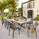 Table de jardin extensible axiome effet bois noix graphite 12 places - aluminium trait� �poxy hesp�ride ...