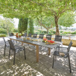 Table de jardin extensible rectangulaire miceira graphite honey 14 places - aluminium trait� �poxy hesp�ride ...