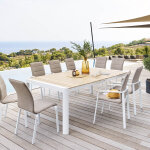 Table de jardin rectangulaire paradize acacia blanc 10 places - aluminium trait� �poxy hesp�ride